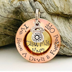 Funny dog tags for female dogs sale