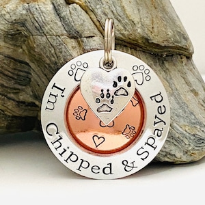 Personalised Dog Tag, I Am Chipped Dog Tag, Dog Collar Tag, Dog Tags For Dogs, Metal Dog Tag Brass Copper, Puppy Name Tag, Large Dog Tag