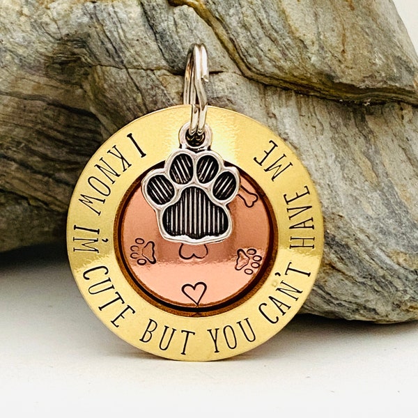 Dog Tags For Dogs, Cute Tags, Custom Dog Tag, Personalised Dog Tag, Name Tag, Brass Tag, Puppy Tag, Stamped Dog Tag, Collar Tag, Dog ID Tag