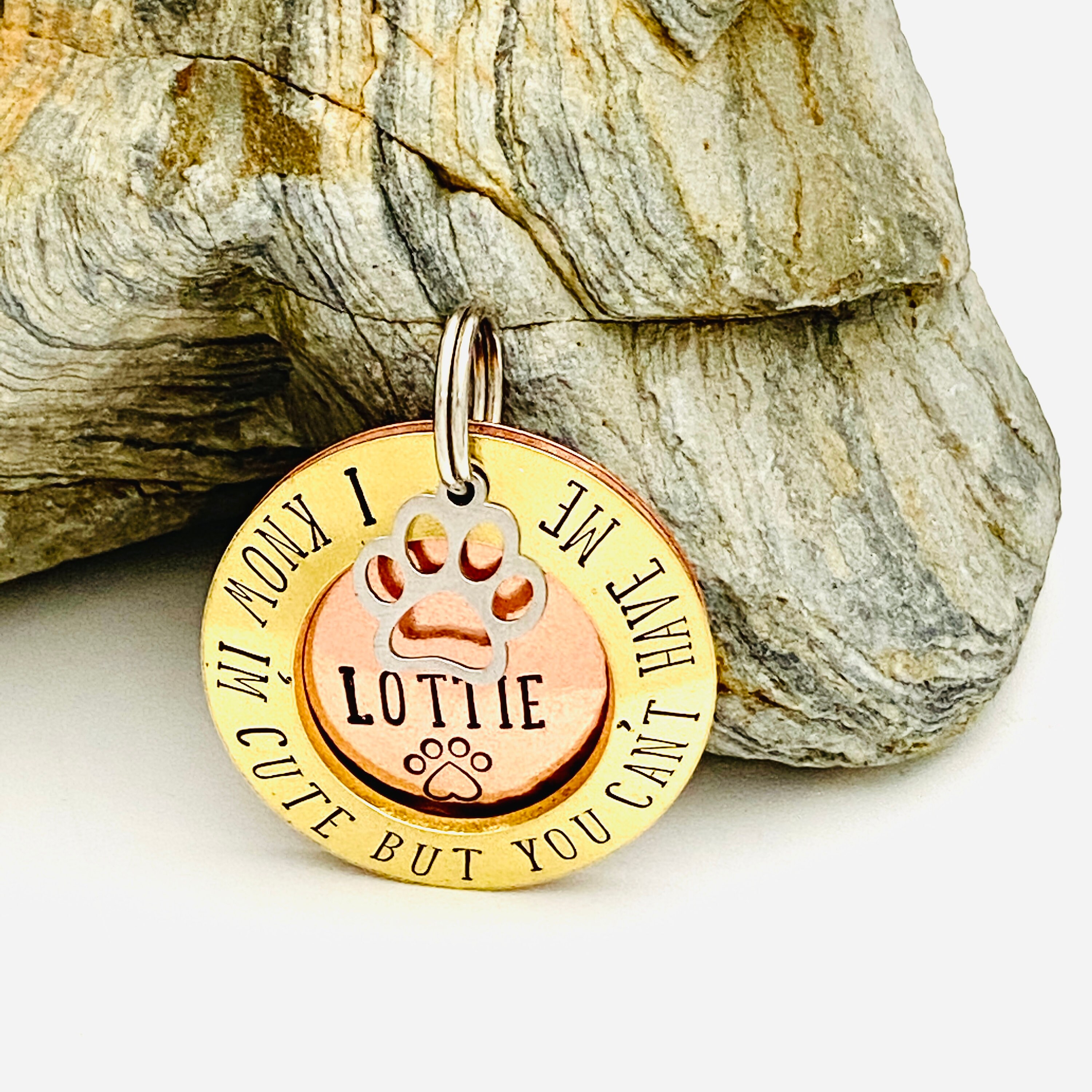 free dog tags for dogs with free shipping free dog tags for dogs with free shipping
