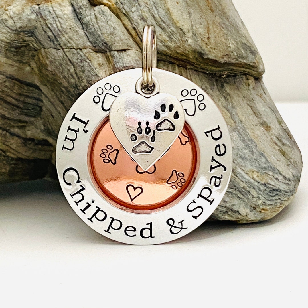 Personalised Dog Tag, Custom Dog Tag, Dog ID Tag, Chipped Spayed, Dog