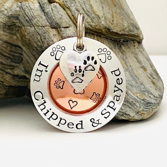 Personalised puppy tag discount