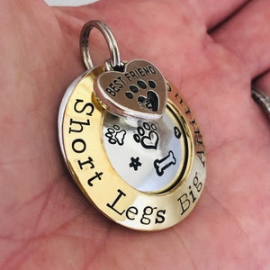 Pode incluir: Uma etiqueta de identifica&ccedil;&atilde;o para c&atilde;es em ouro e prata com o texto "Short Legs Big Heart" e um pequeno amuleto em forma de cora&ccedil;&atilde;o que diz "Best Friend".