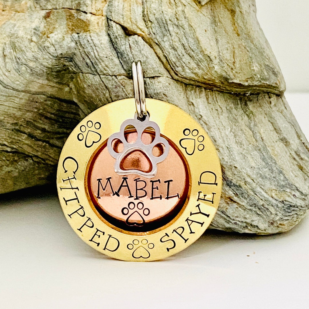Dog Tags for Dogs, Dog Id Tag, Chipped Tag, Brass Dog Tag, Personalised
