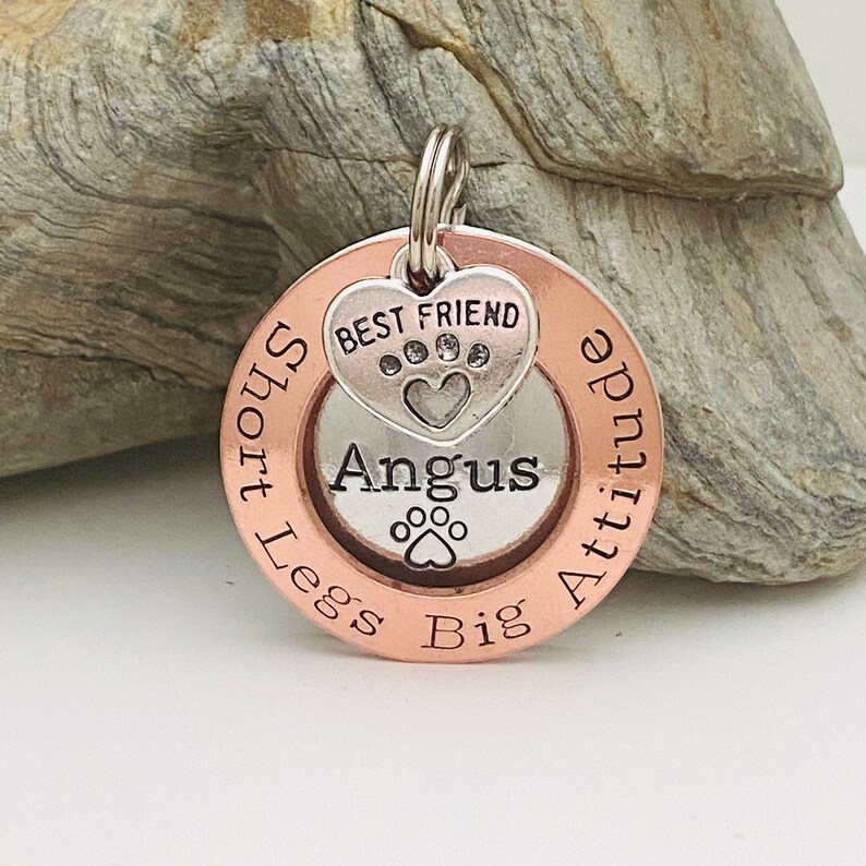Pode incluir: Uma etiqueta de identifica&ccedil;&atilde;o para c&atilde;es em cobre e prata com o texto "Big Attitude Short Legs" e "Angus" no centro. A etiqueta tamb&eacute;m tem um pequeno amuleto de prata com o texto "Best Friend" e uma pegada.