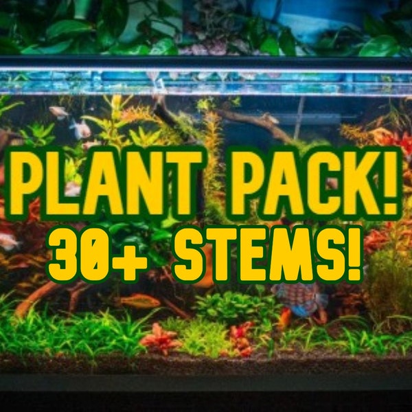 30 Piece Aquarium Plant Pack | Stem Plants Rotala Bacopa Ludwigia Elodea