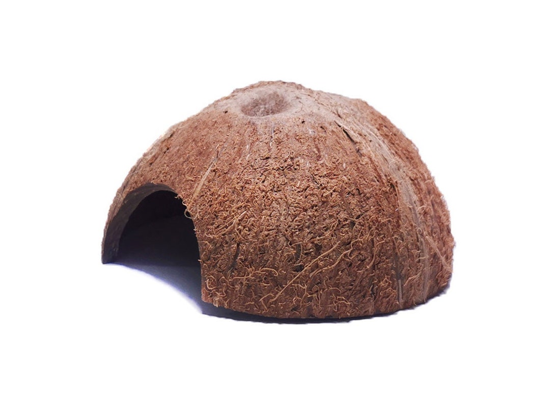 Natural Coconut Cave Aquarium Terrarium Decor Etsy