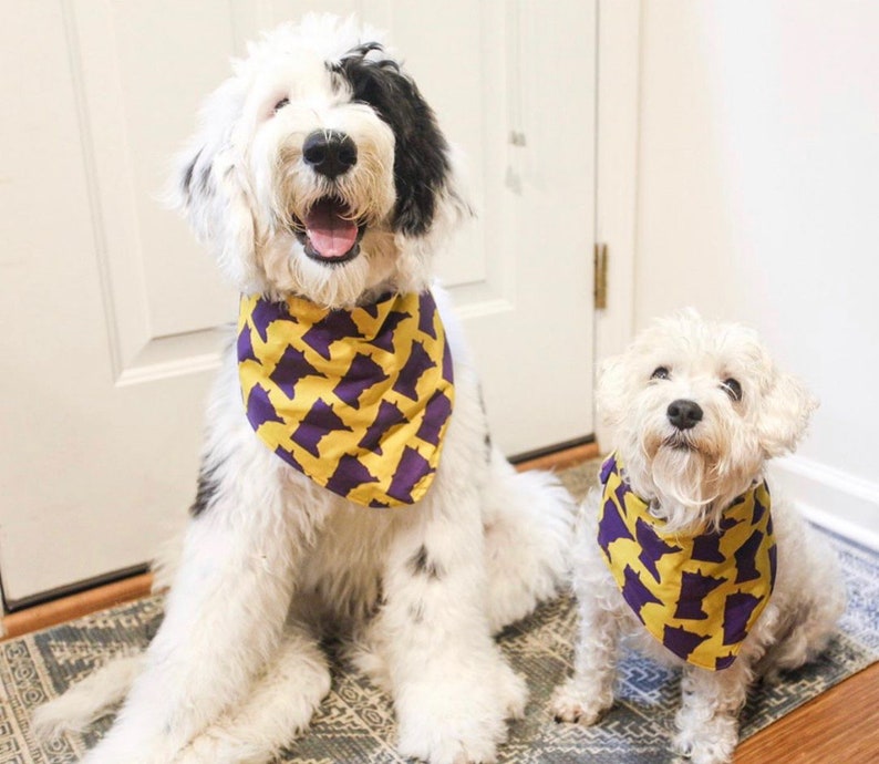 Custom Snap Bandana Go Vikes