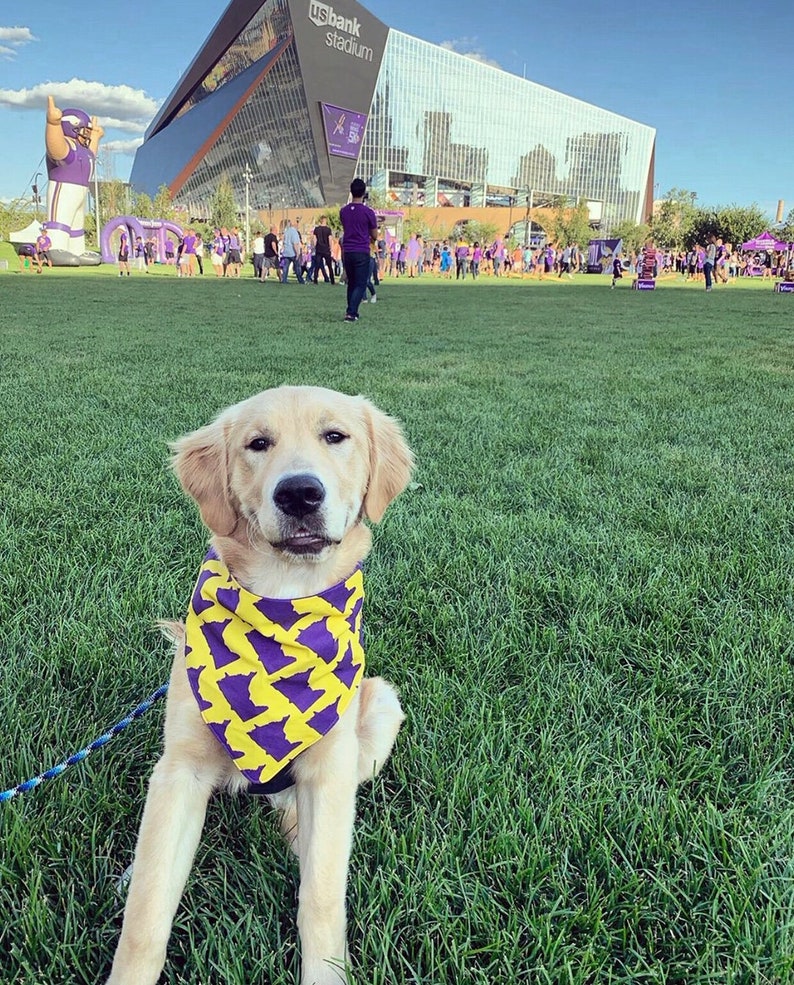 Custom Snap Bandana Go Vikes