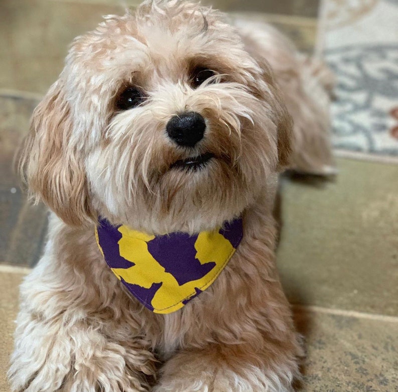 Custom Snap Bandana Go Vikes