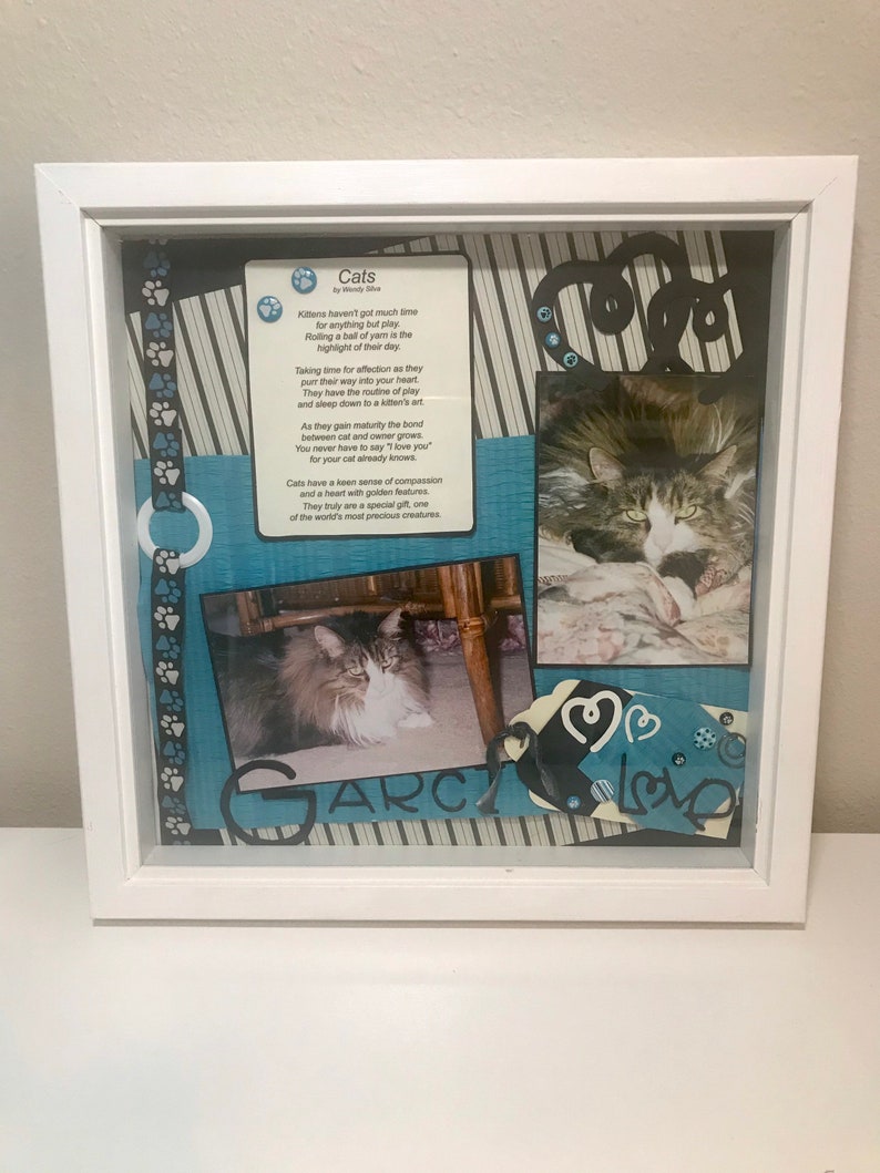 Custom Pet Shadow Box Memorial Photo Cat Dog Holder Any Animal Etsy