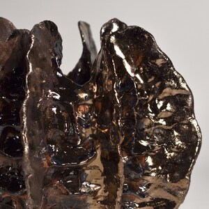 May include: A dark brown ceramic vase with a textured, organic shape. The vase has a glossy finish and appears to be handmade.