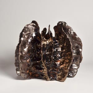 May include: A dark brown ceramic vase with a unique, organic shape. The vase has a textured surface and a glossy finish.