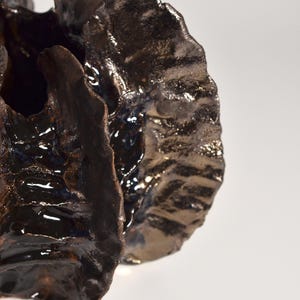 May include: A dark brown ceramic vase with a unique, organic shape. The vase has a textured, almost rough surface and appears to be glazed.