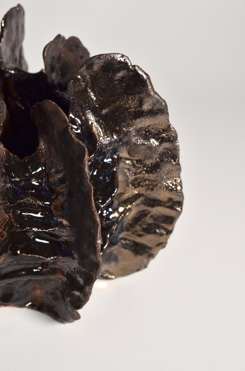 May include: A dark brown ceramic vase with a unique, organic shape. The vase has a textured, almost rough surface and appears to be glazed.
