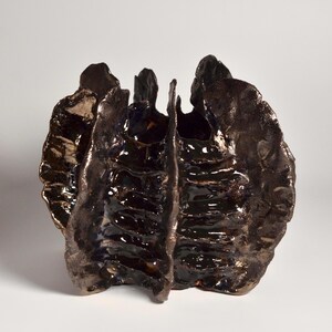 May include: A dark brown ceramic vase with a unique, organic shape. The vase has a textured, rippled surface and a glossy finish.