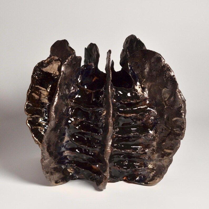 May include: A dark brown ceramic vase with a unique, organic shape. The vase has a textured, rippled surface and a glossy finish.