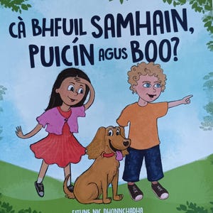 Rare Irish Language Kids Book | Ca Bhfuil Samhain Puicin agus Boo | Gaeilge Lost Cat Story | Out of Print | Irish Children’s Book