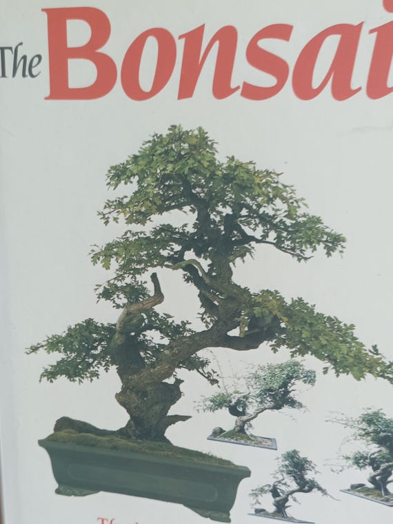 Rare Bonsai Tree Book by Dan Barton | Illustrated Hardcover - Etsy