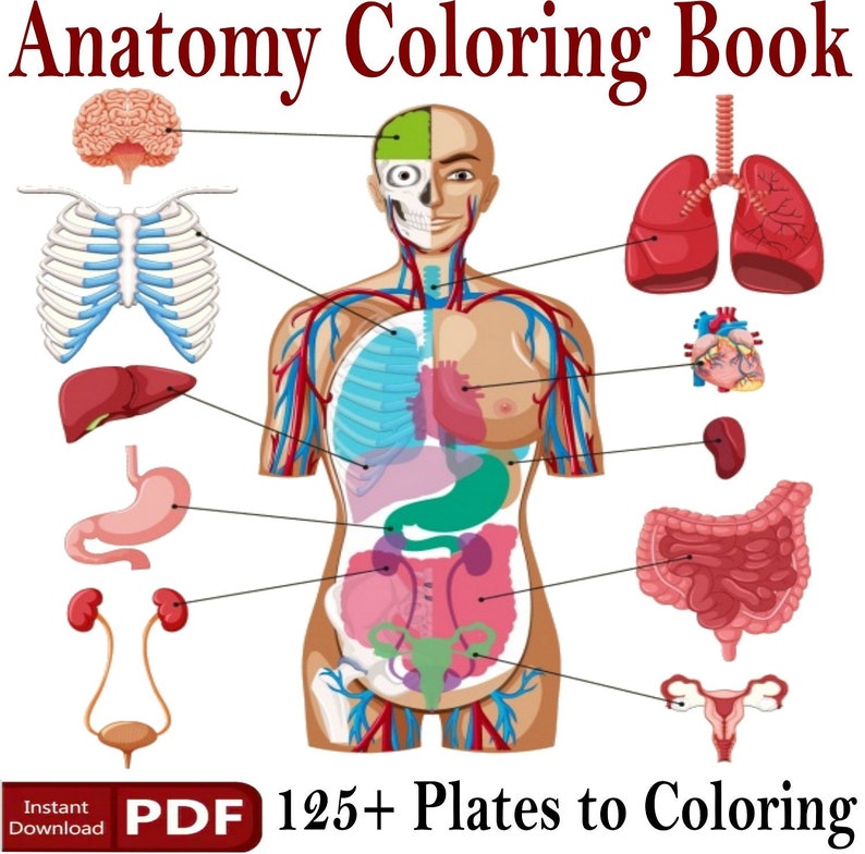 Human Anatomy Book Anatomy Coloring Workbook for Students and Adults Anatomy Coloring Book More than 125 Plates to Coloring