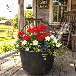 May include: A black metal bucket with a handle filled with a vibrant arrangement of red geraniums, white petunias, and small blue and yellow flowers. The bucket sits on a wooden porch, showcasing a mix of bright floral colors and green foliage.