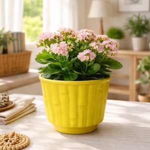 May include: A potted Kalanchoe plant with clusters of small pink flowers and green leaves. The plant is in a bright yellow ceramic pot with a textured design. The pot sits on a light-colored wooden table.