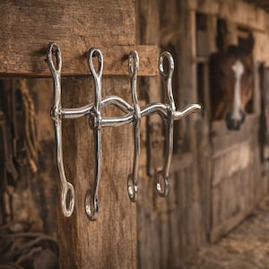 Set Of 3 Horse Bits, Vintage Chrome Horse Item