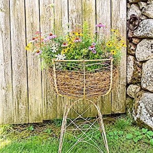May include: A weathered, rust-colored wire basket planter stands on a matching metal pedestal base. The basket is filled with a vibrant arrangement of purple coneflowers, yellow black-eyed Susans, and small white wildflowers with green foliage.