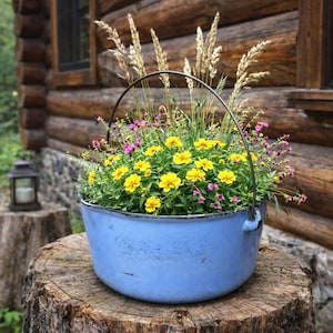 May include: A light blue enamelware pot filled with yellow and pink flowers and tall grasses, set on a tree stump. The pot has a metal handle and is placed in front of a rustic wooden cabin.