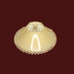 Ornate Glass Light Fixture / Fast Safe Free Shipping