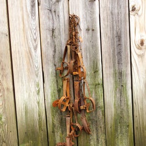 All 9 Rustic Traps /  Wall Decor Steel Traps / Fast Safe Free Shipping