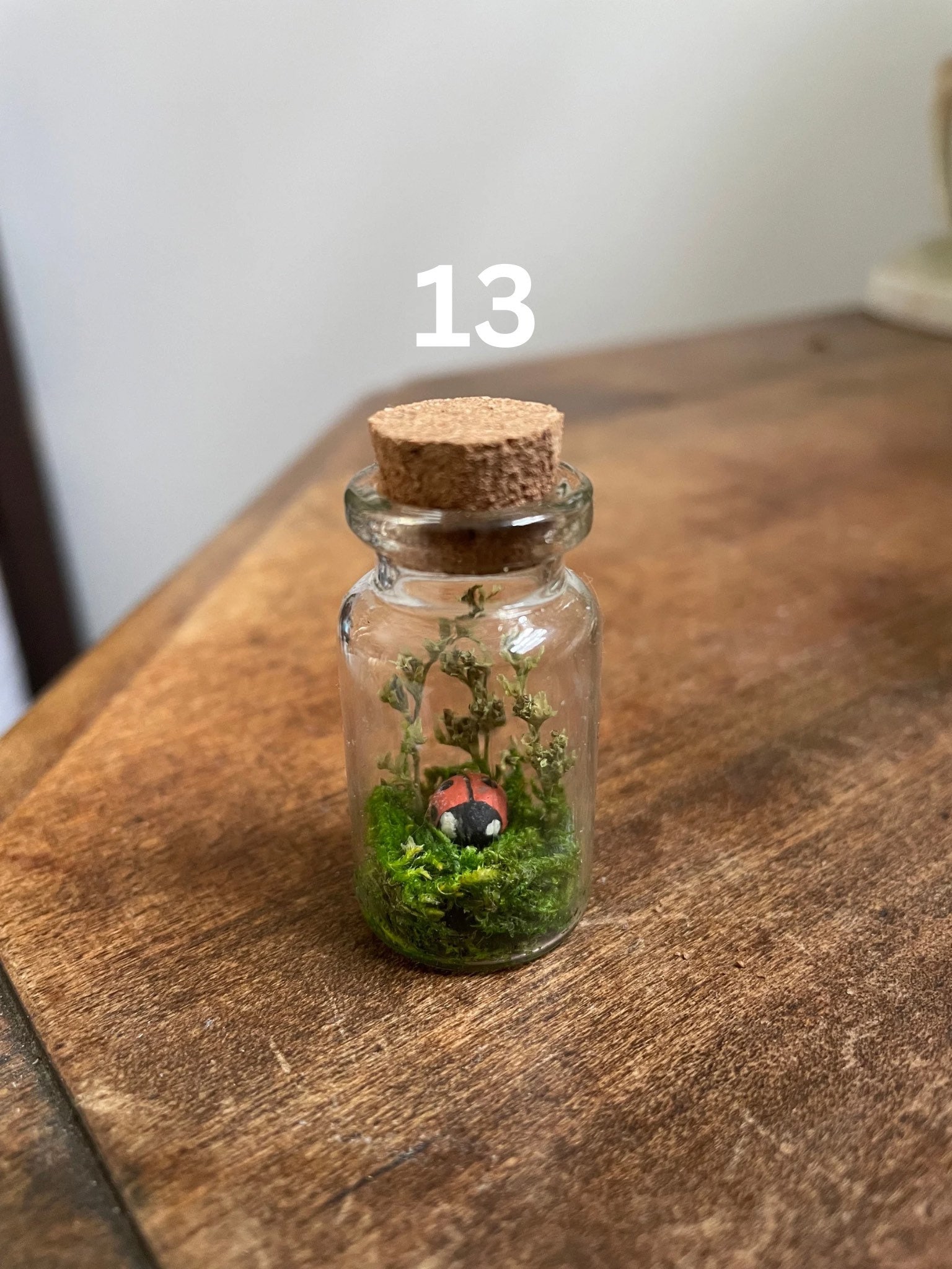 Tiny Jar Terrariums With Dried Moss and Clay Figures for Nature Lovers
