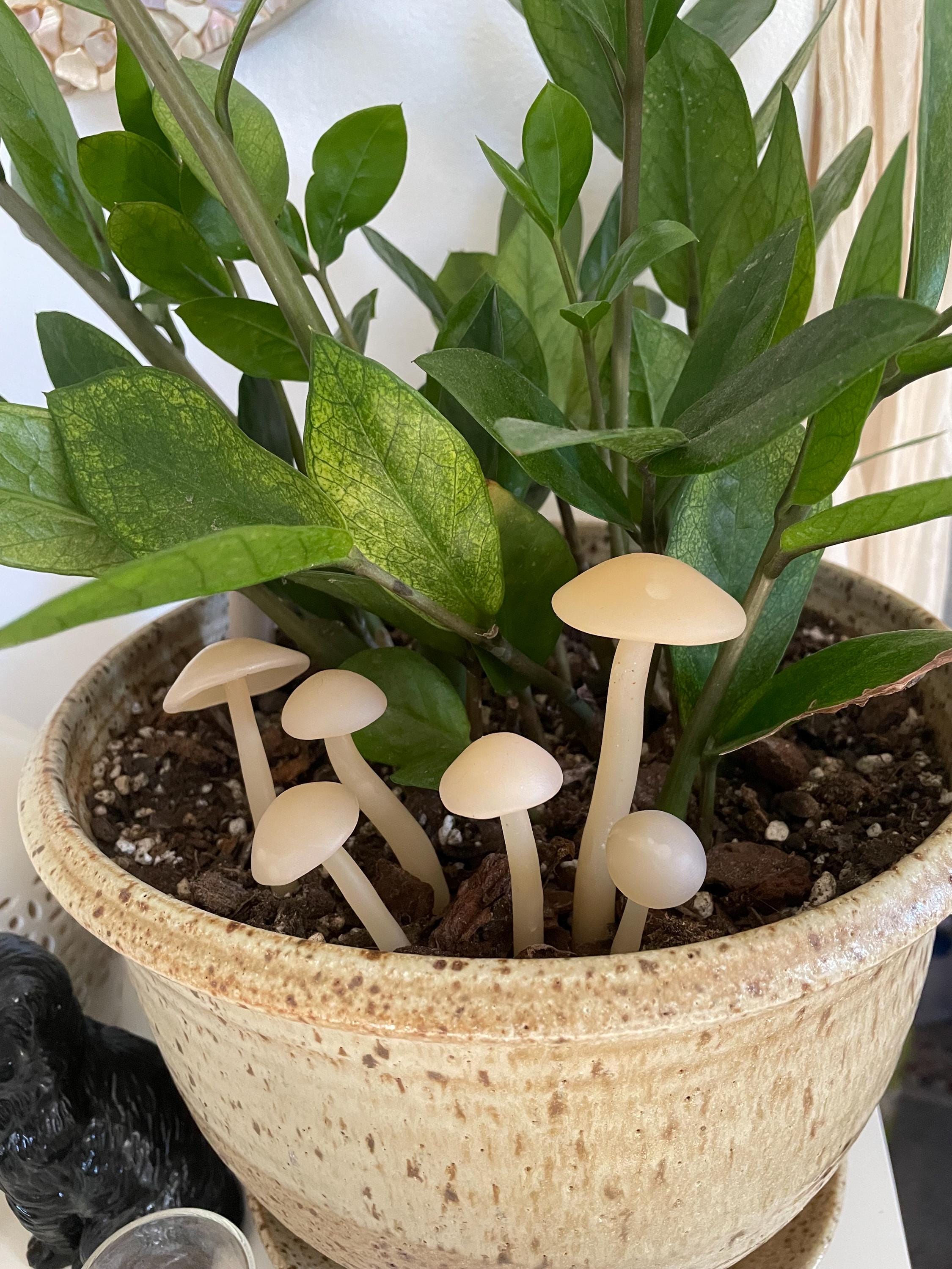 Handmade Polymer Clay Mushroom Plant Picks for House Plants and Terrariums  - Etsy