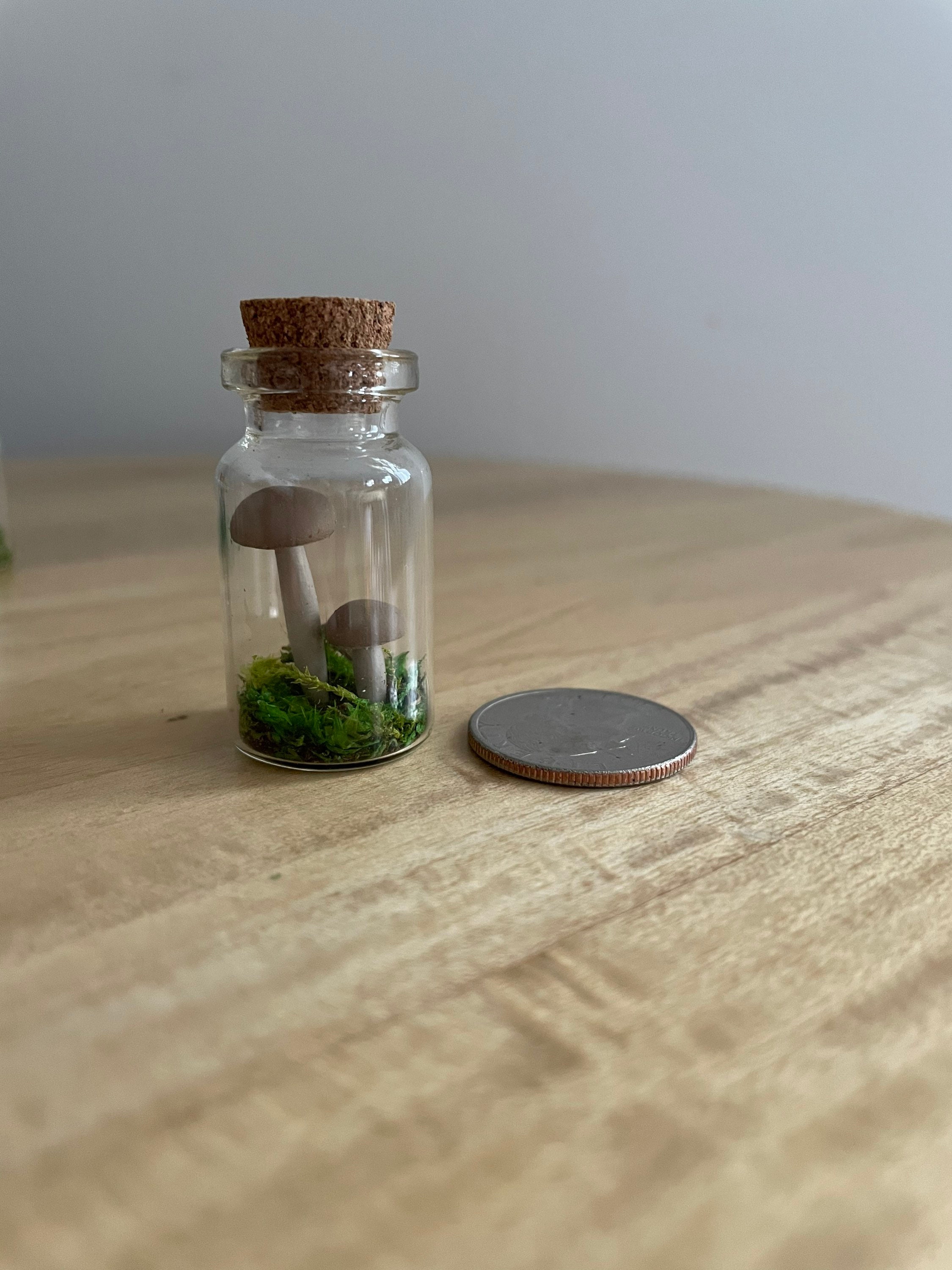 Tiny Jar Terrariums With Dried Moss and Clay Figures for Nature Lovers