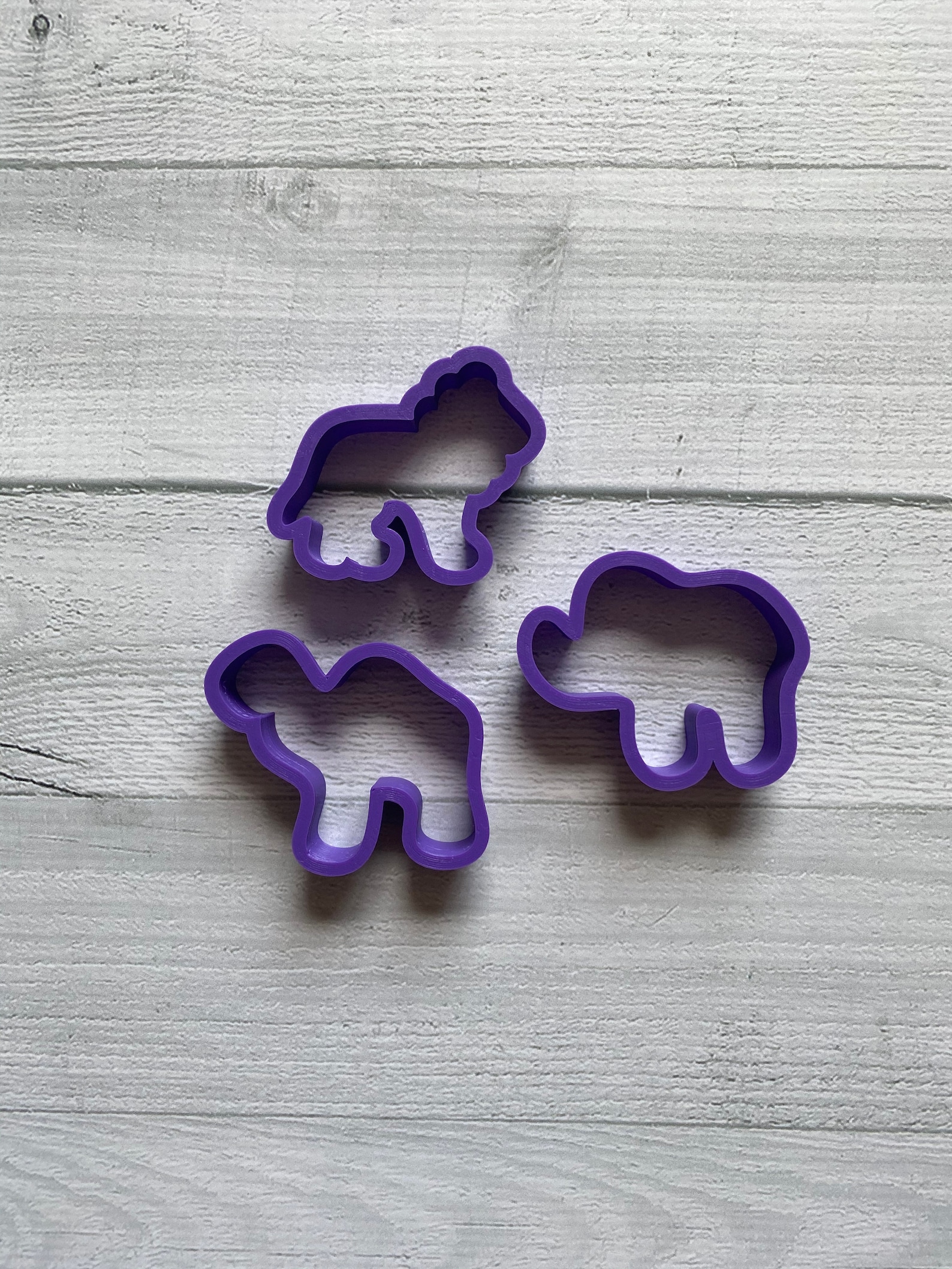 Animal Cracker Iced Cookie Cutter Set Etsy