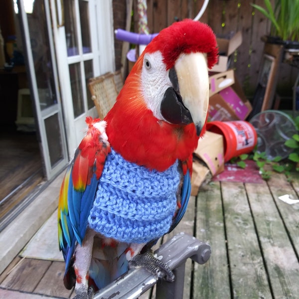 Parrot Macaw Amazon Cockatoo African Grey Custom Sweater for Plucking W/LINING--20+ colors!