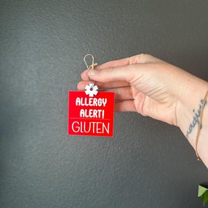 Allergy Alert Keychain, Allergy Alert, Kids Allergy Keychain, Kids Backpack Allergy Alert