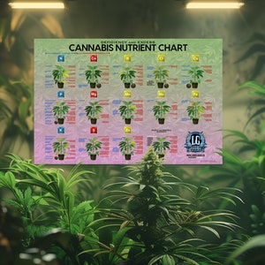 Nutrient Knowledge: Marijuana Plant Nutrient Deficiency & Excess - Home Grow Poster