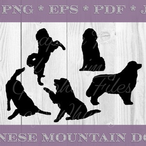 Berner Hund SVG Silhouette PNG JPG Pdf Eps Digitale Grafik Dateien