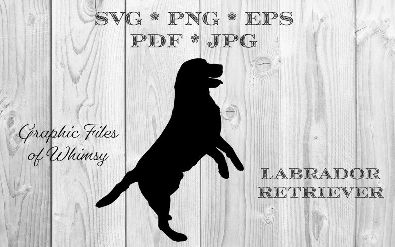 Download Lab SVG Labrador Retriever Dogs Silhouette PNG JPG Pdf Eps ...