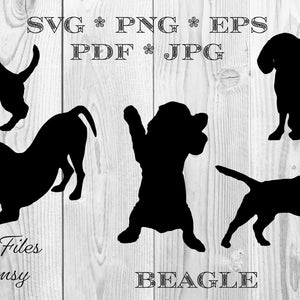 Beagle SVG Bundle Dog Silhouette PNG JPG Pdf Eps Digital Graphic File