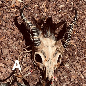 May include: An animal skull with two large, curved black horns wrapped in tan twine. The skull is decorated with dark feathers, leather cords, and small red and white beads. The letter A is visible on the left side of the skull structure.