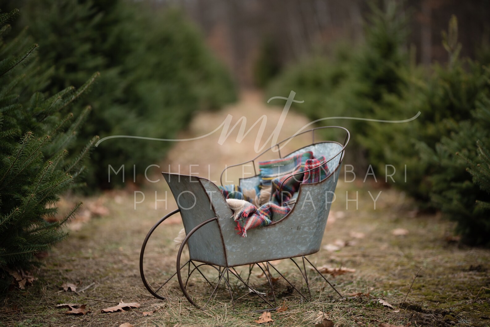 Christmas Tree Farm Digital Backdrop Photography | Etsy