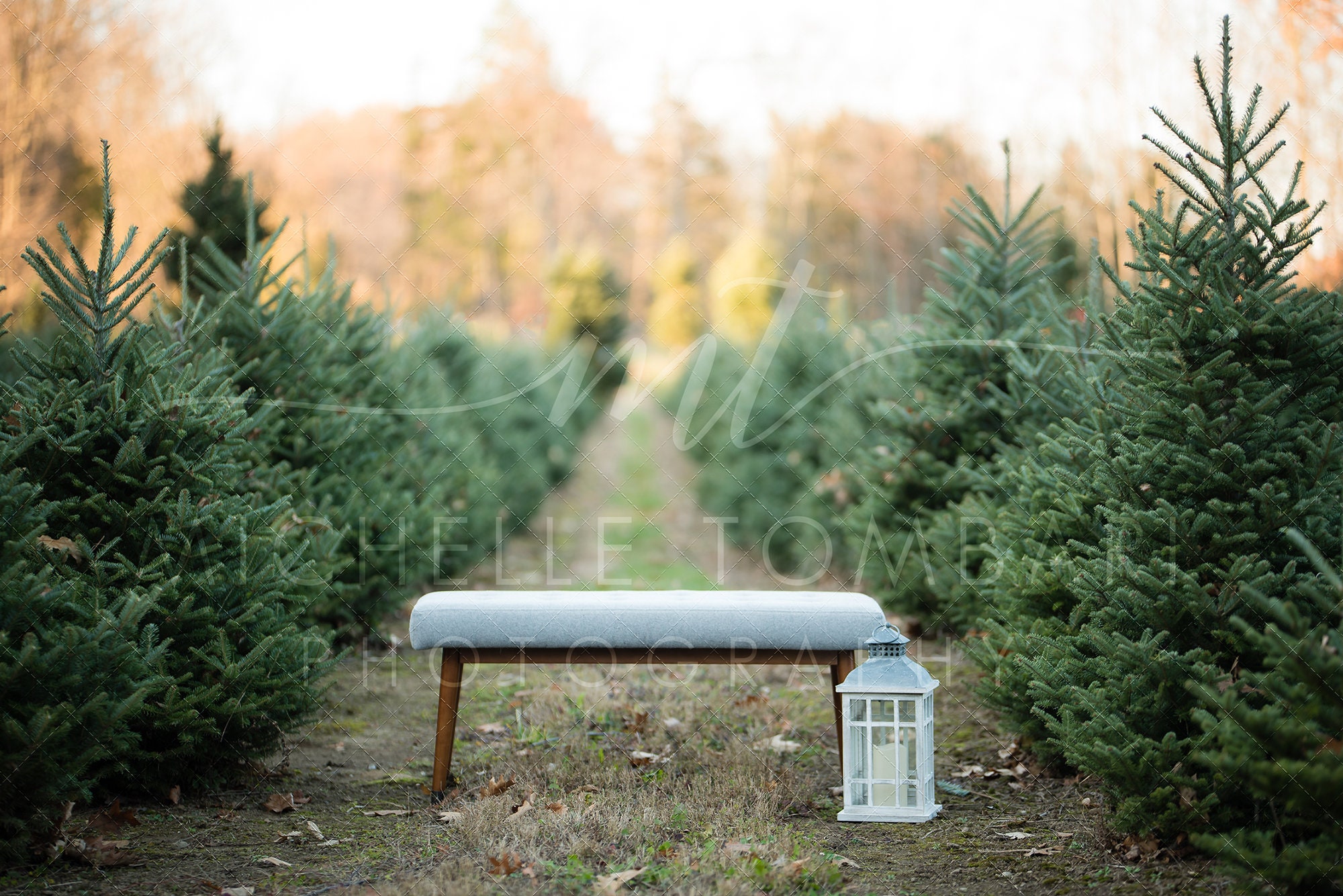 Christmas Tree Farm Digital Backdrop for Photography Etsy Israel