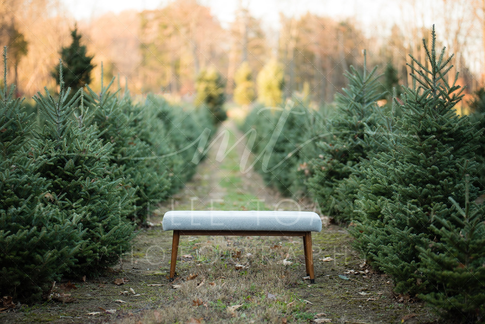 Christmas Tree Farm digital backdrop for photography Etsy