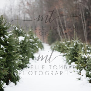 Christmas Tree Farm SNOW &gt;&gt; digital backdrop for photography composite &gt;&gt; rustic country family card