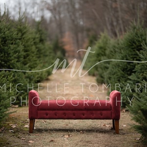 May include: A red upholstered bench with wooden legs sits on a path lined with evergreen trees. The bench has a button-tufted design and curved armrests. The image includes the text "Michelle Tombari Photography".