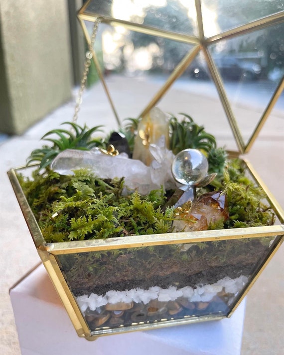 Mini LIVE Crystal Garden Terrarium Etsy