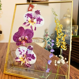 Ghost fern dress orchid bloom sale