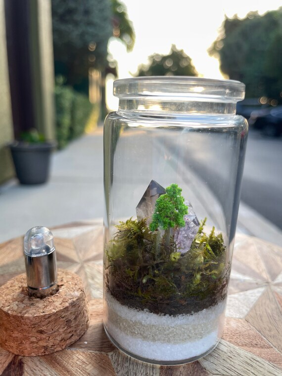 Plant terrarium sales with light